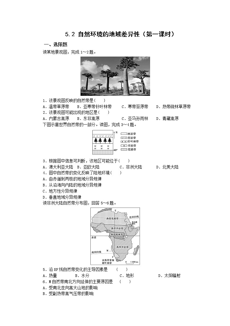 人教版（2019）高中地理 选择性必修一 5.2 自然环境的地域差异性（第一课时）作业第1页