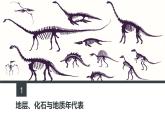 2021年人教版新教材高中地理必修一《1.3 地球的历史》课件+视频