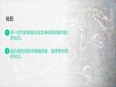 2021年人教版新教材高中地理必修一《1.3 地球的历史》课件+视频