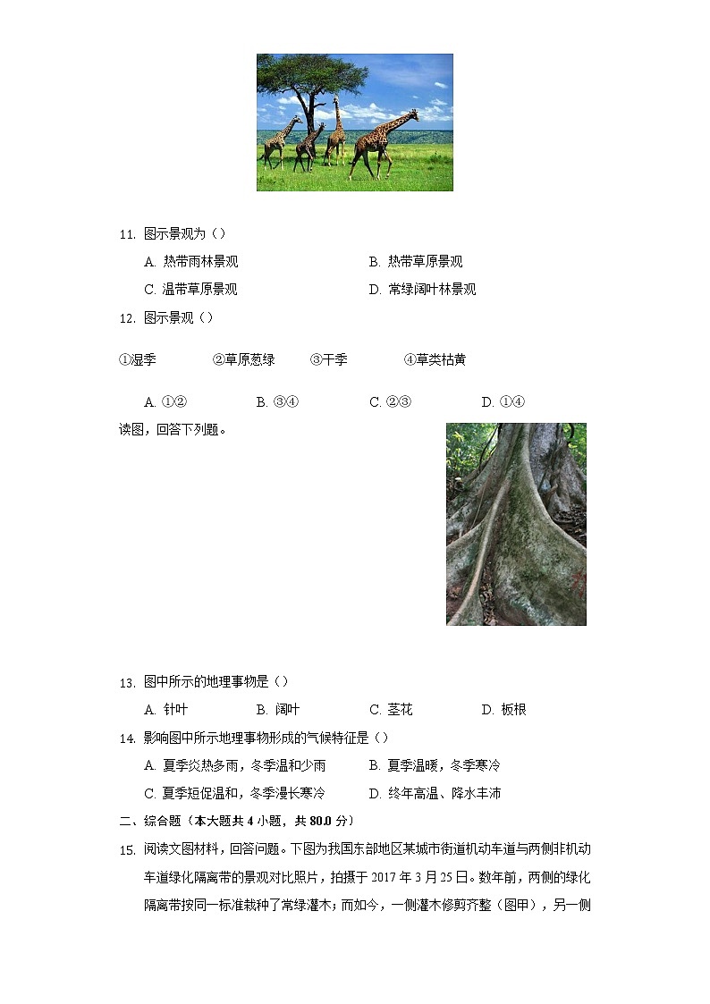 5.1植被   同步练习   人教版（2019）高中地理必修第一册03