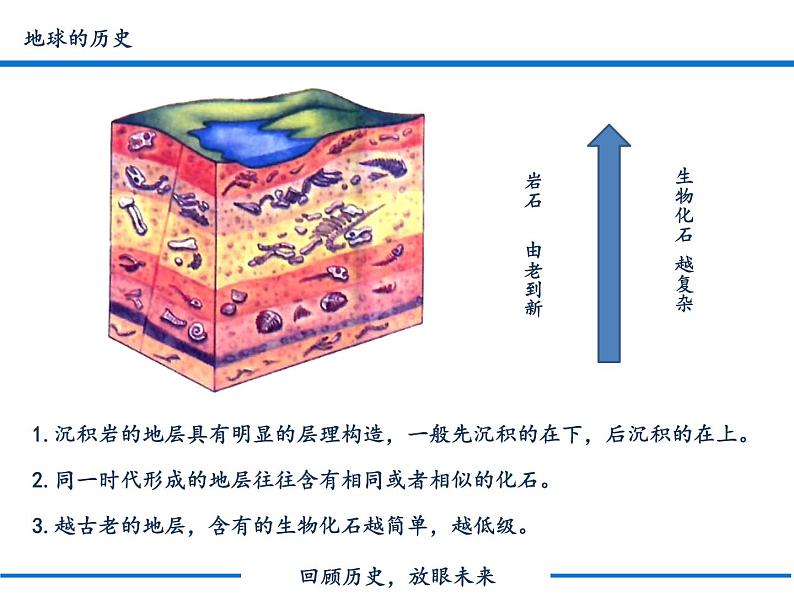 1.3 地球的历史课件PPT04