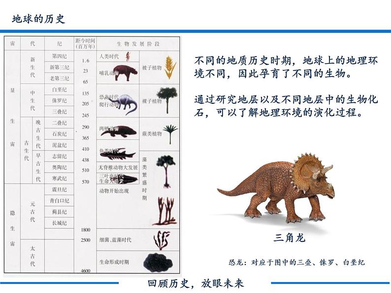 1.3 地球的历史课件PPT05