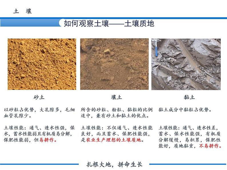 5.2 土壤  课件PPT08