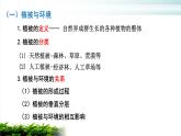 5.1植被课件 安徽宣城市第十三中学2021-2022学年高中地理人教版（2019）必修一