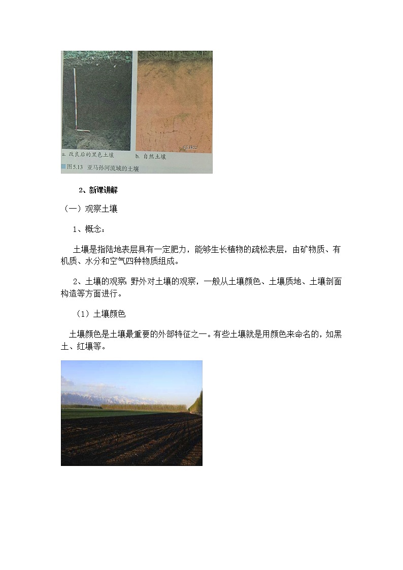 人教版（2019）必修第一册5.2 土壤 教案02