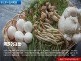 人教版（2019）高中地理必修二第五章 問題研究 低碳食品知多少 課件（17張PPT）