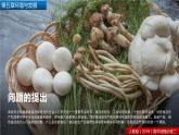 人教版（2019）高中地理必修二第五章 问题研究 低碳食品知多少 课件（17张PPT）