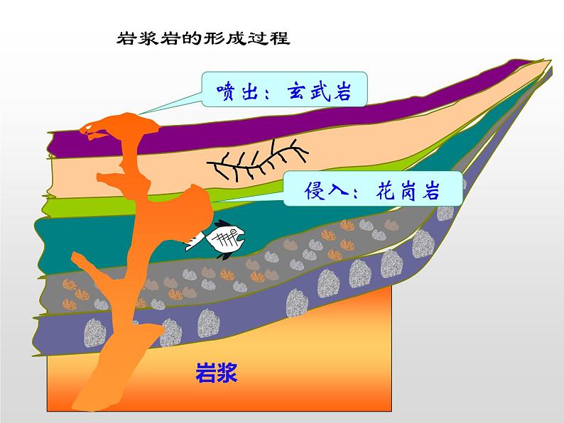 2.1塑造地表形态的力量——岩石圈的物质循环课件PPT04