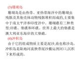 崇明島的未來(lái)是什么樣子PPT課件免費(fèi)下載