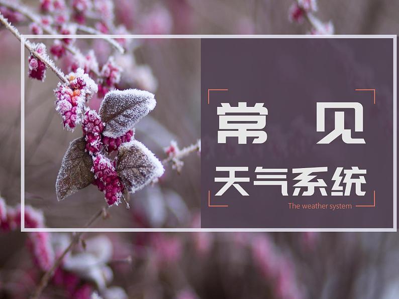 3.1常见天气系统——锋与天气 课件PPT01