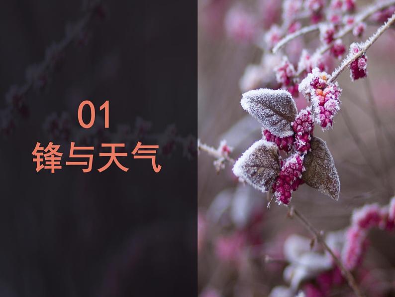 3.1常见天气系统——锋与天气 课件PPT07