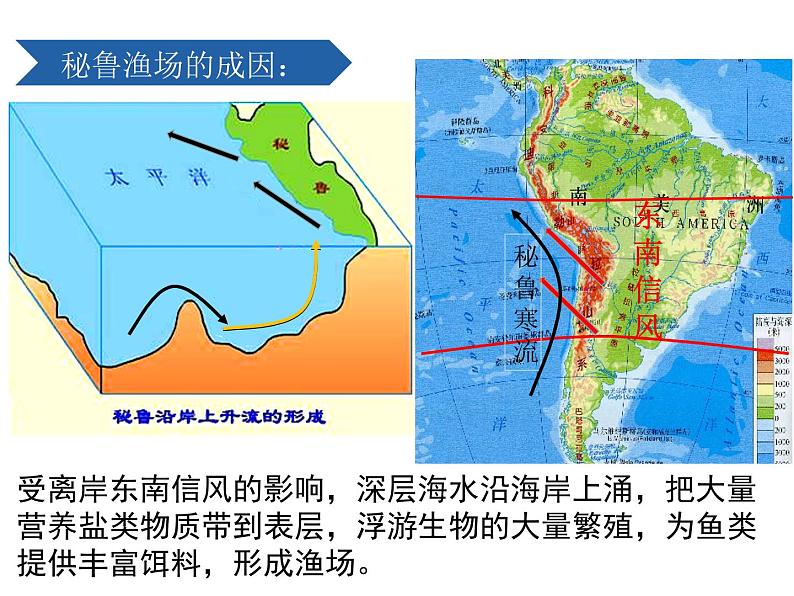 4.2洋流——洋流对地理环境的影响课件PPT07