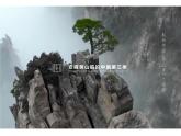 5.1自然环境的整体性课件PPT