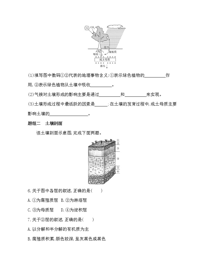 第二节　土壤的形成练习题02