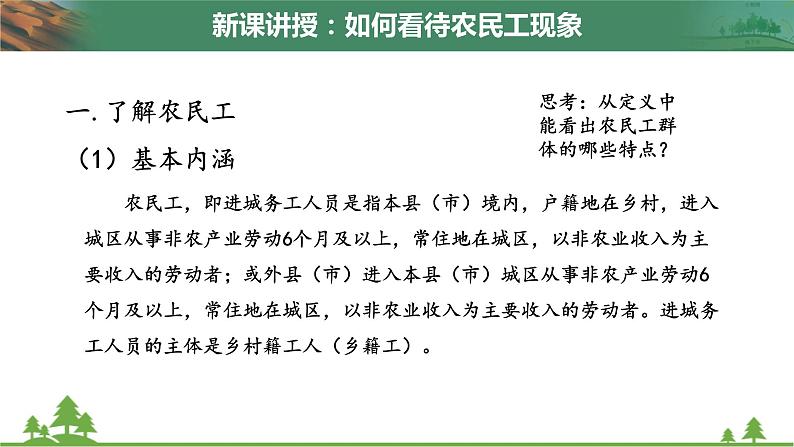 人教版地理必修二1.4问题研究 如何看待农民工现象 课件第5页