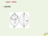 高考地理一轮复习第一章地理基础必备第一节经纬网与地图课件新人教版