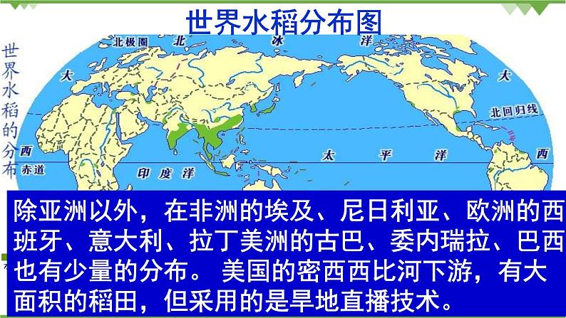 人教版（新课标）地理必修二 3.2以种植业为主的农业地域类型 课件PPT03