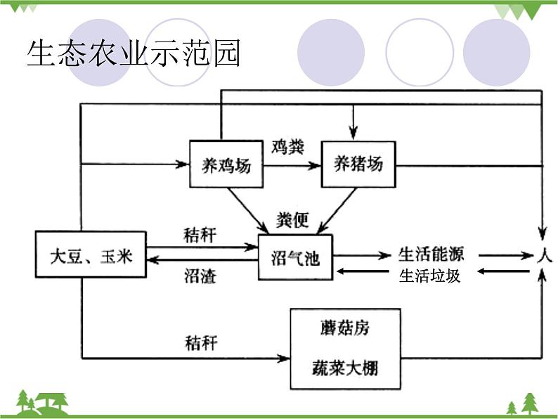 人教版（新课标）地理必修二 3.4家乡的农业园区会是什么样 课件PPT07