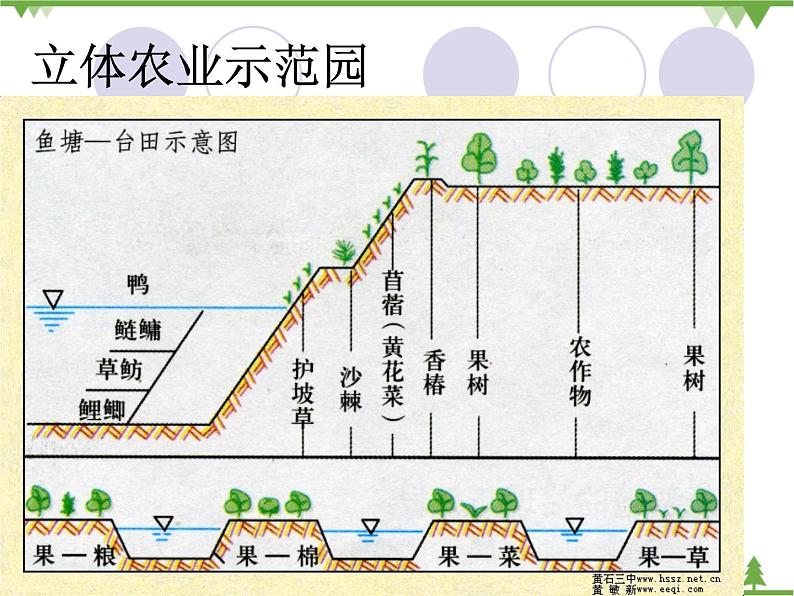 人教版（新课标）地理必修二 3.4家乡的农业园区会是什么样 课件PPT08