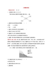 高中地理湘教版 (2019)必修 第一册第二节 土壤的形成同步训练题