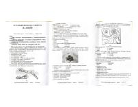 湖北省新高考联考协作体2021-2022学年高二上学期期中考试地理试题扫描版含答案