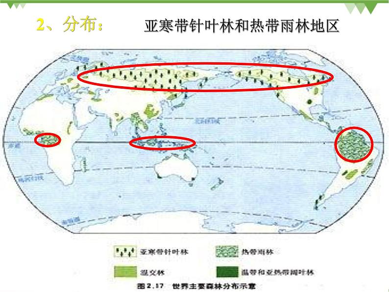 人教版地理必修三 2.2森林的开发与保护以亚马孙热带雨林为例课件第6页