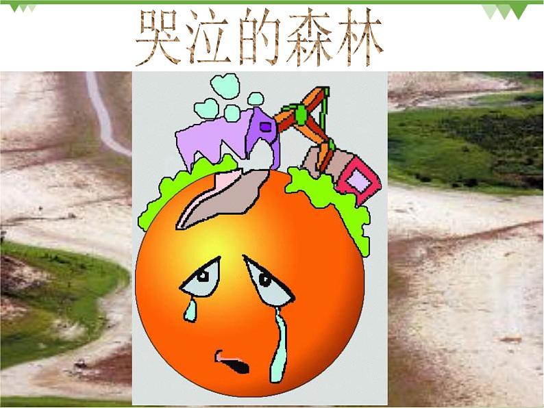 人教版地理必修三 2.2森林的开发与保护以亚马孙热带雨林为例课件第8页