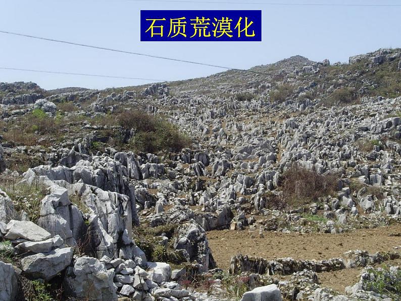 人教版地理必修三2.1荒漠化的防治-以我国西北地区为例课件第7页