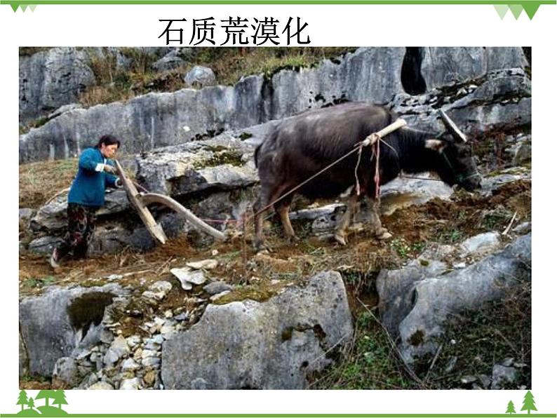 人教版地理必修三2.1荒漠化的防治-以我国西北地区为例课件第8页