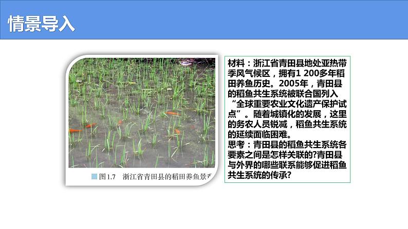 1.2 区域整体性和关联性-高二地理上学期同步课堂备课课件（人教版2019选择性必修2）02