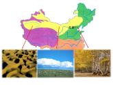 5.2 自然地理环境的差异性课件PPT