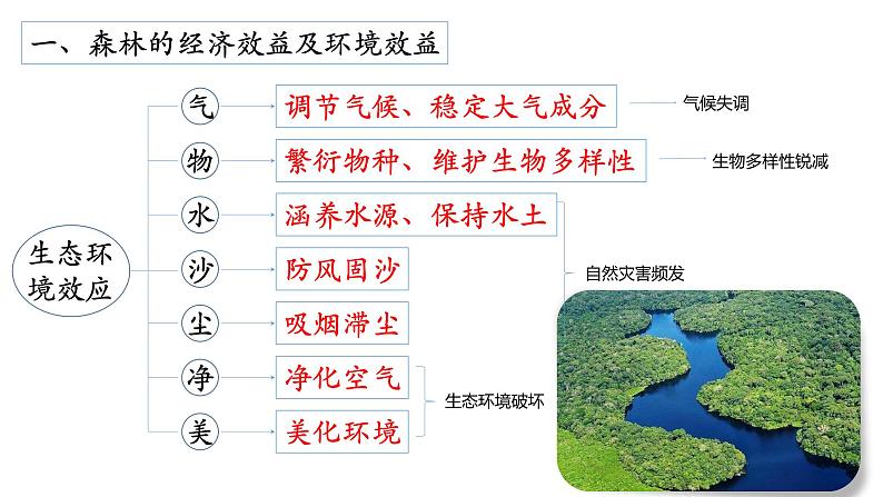 人教版必修三 2.2 森林的开发和保护—以亚马孙热带雨林为例(共43张PPT)课件PPT07