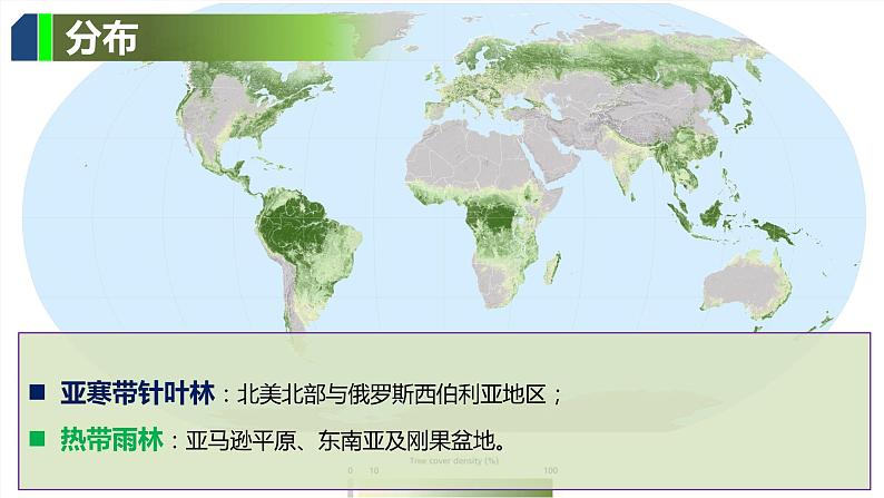 人教版必修三2.2森林的开发和保护（共41张PPT） 课件PPT07