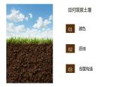 5.2土壤-【爱上地理课】2021-2022学年高一地理同步课堂精品课件（人教版2019必修第一册）