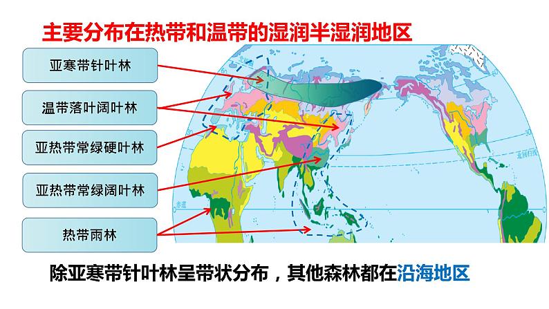 植被PPT课件免费下载06