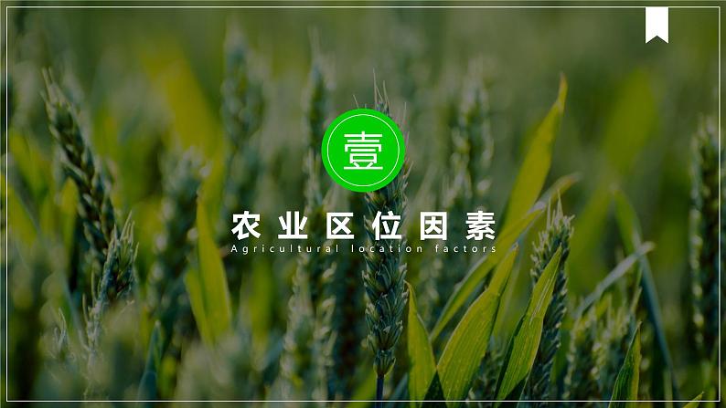 3.1农业区位因素及变化 2021-2022学年人教版（2019）地理必修二课件PPT第2页