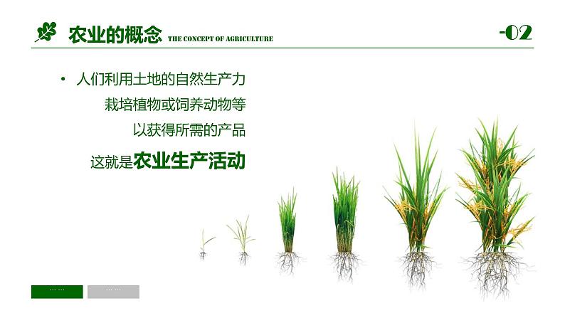 3.1农业区位因素及变化 2021-2022学年人教版（2019）地理必修二课件PPT第3页