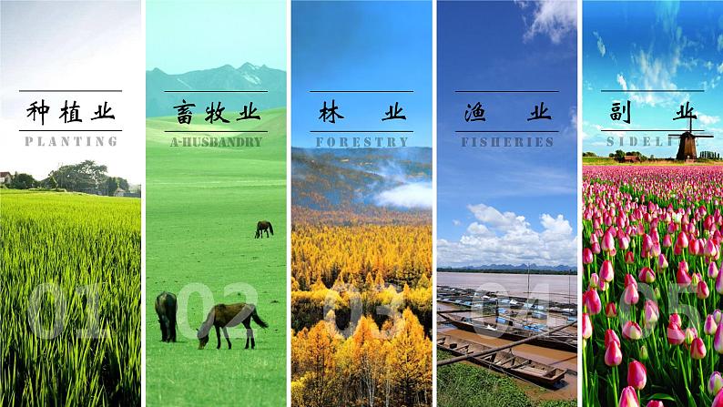 3.1农业区位因素及变化 2021-2022学年人教版（2019）地理必修二课件PPT第4页