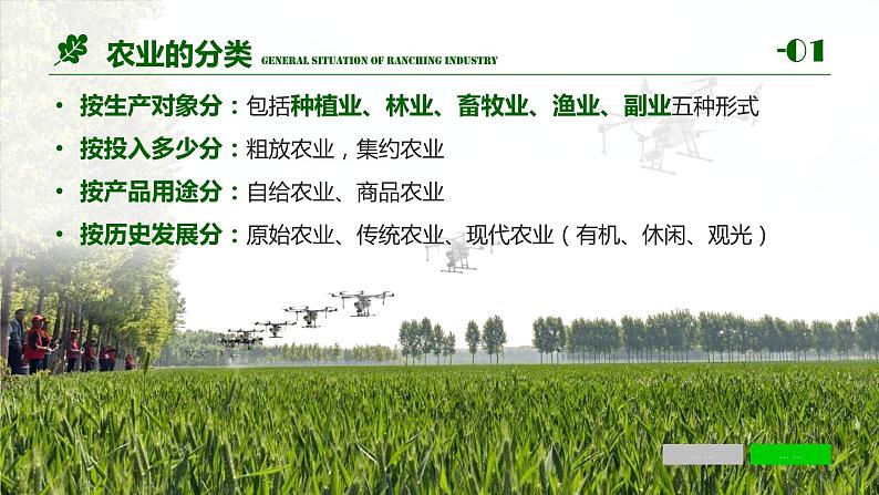 3.1农业区位因素及变化 2021-2022学年人教版（2019）地理必修二课件PPT第5页