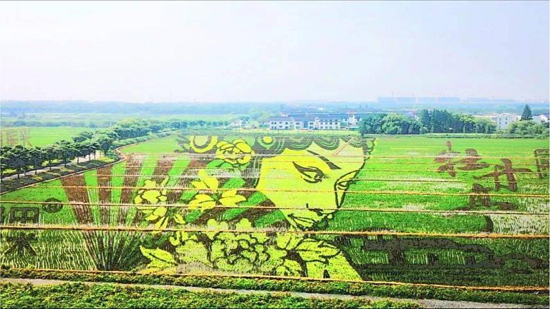 3.1农业区位因素及变化 2021-2022学年人教版（2019）地理必修二课件PPT第6页