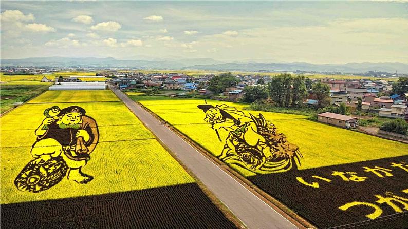 3.1农业区位因素及变化 2021-2022学年人教版（2019）地理必修二课件PPT第8页