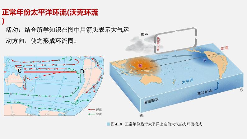 4.3 海——气相互作用 课件-2021-2022学年高中地理人教版（2019）选择性必修1第8页