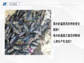 2021-2022学年高中地理人教版必修第一册：3.2海水的性质  课件（共26页）