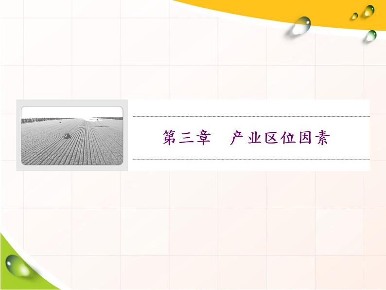 必修2地理新教材人教31农业区位因素及其变化ppt_1101