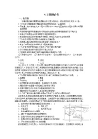 高中地理人教版 (2019)选择性必修3 资源、环境与国家安全第三节 国际合作课后测评