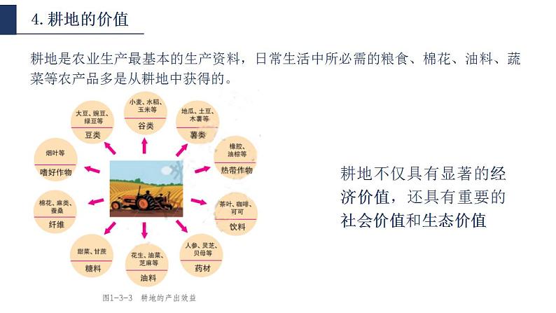 鲁教版地理选择性必修3 1.3 耕地与粮食安全  课件08