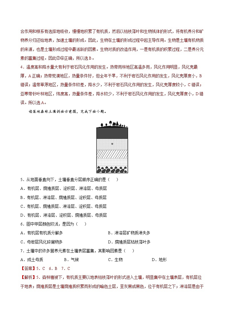 3.4 分析土壤形成的原因（同步练习）鲁教版地理2019必修第一册）02