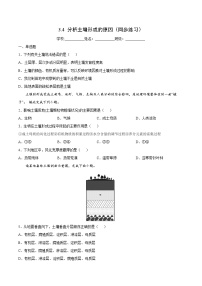 地理第四节 分析土壤形成的原因精品复习练习题