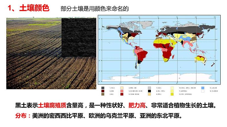 5.2 土壤课件05