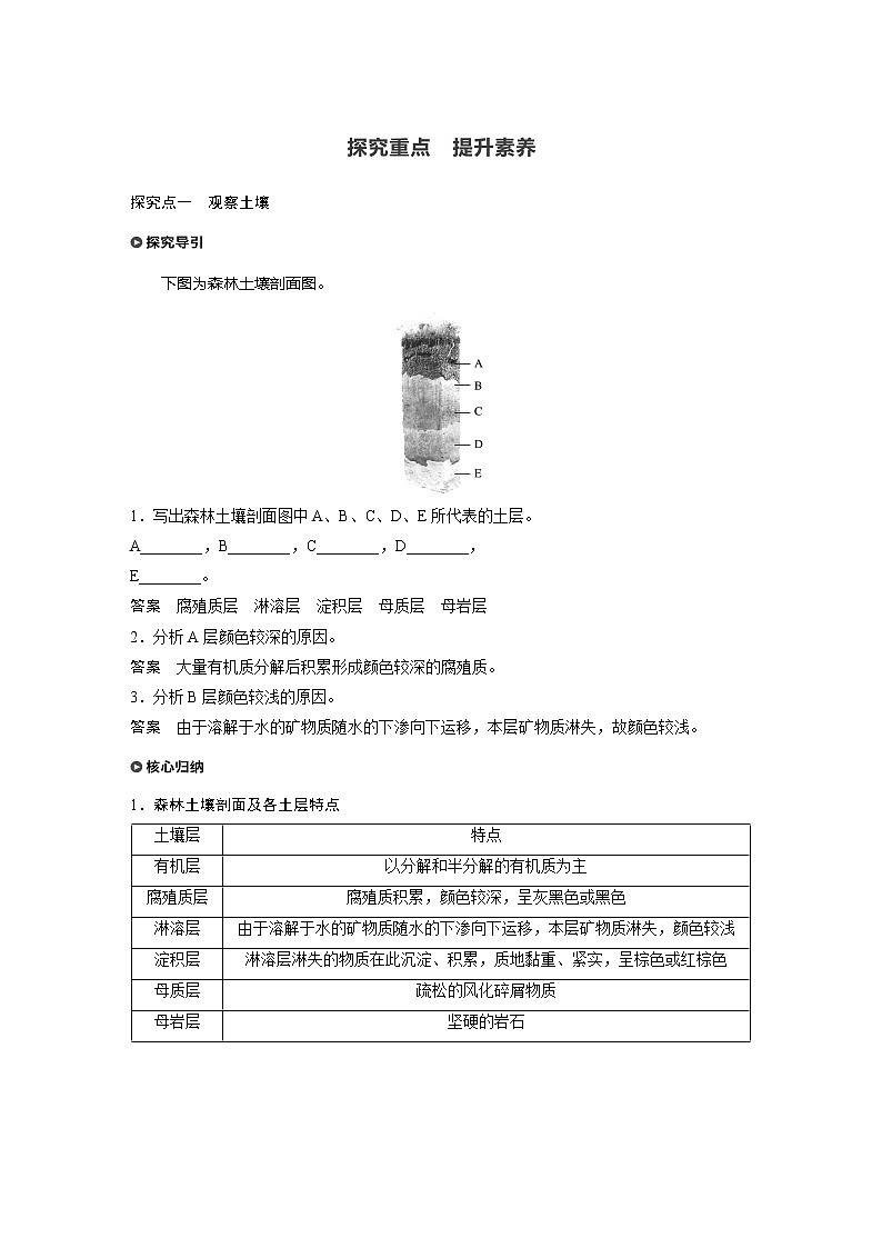 2021-2022学年高中地理新人教版必修第一册 第5章 第2节 土壤 教案第3页